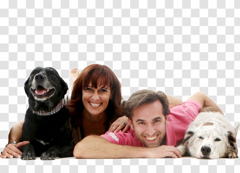 Dog Breed Puppy Love Companion Transparent PNG