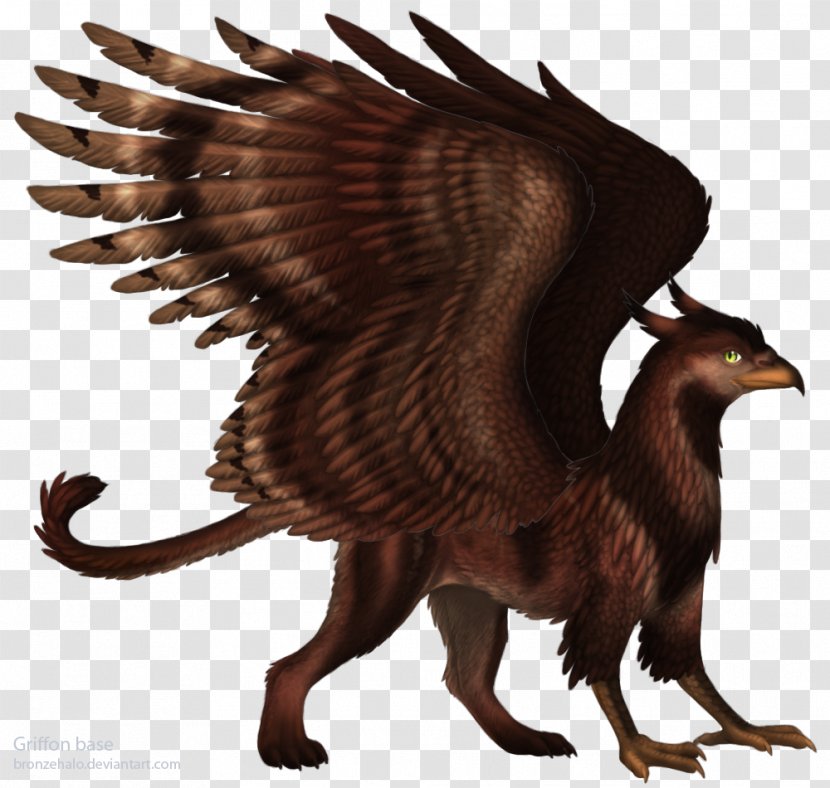 Griffin Eagle Fantasy Dragon Legendary Creature Transparent PNG
