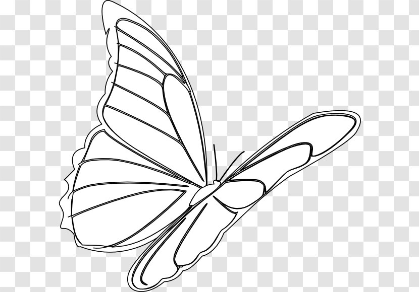 Monarch Butterfly Drawing Flight Clip Art - Wing Transparent PNG