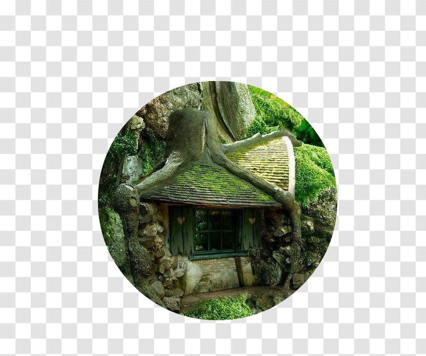 Tree House Garden Fairy - Jungle Transparent PNG