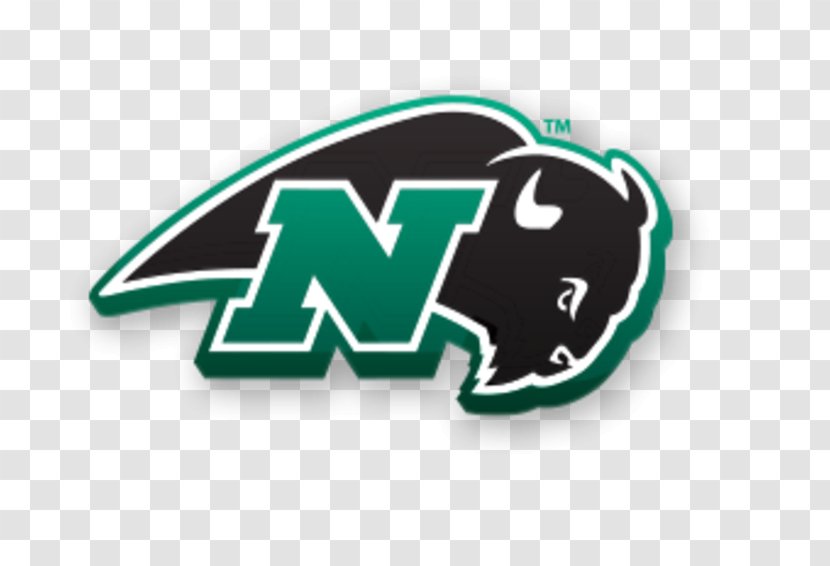 Nichols College Bison Men's Basketball Post University Commonwealth Coast Conference - Ncaa Division Iii Transparent PNG