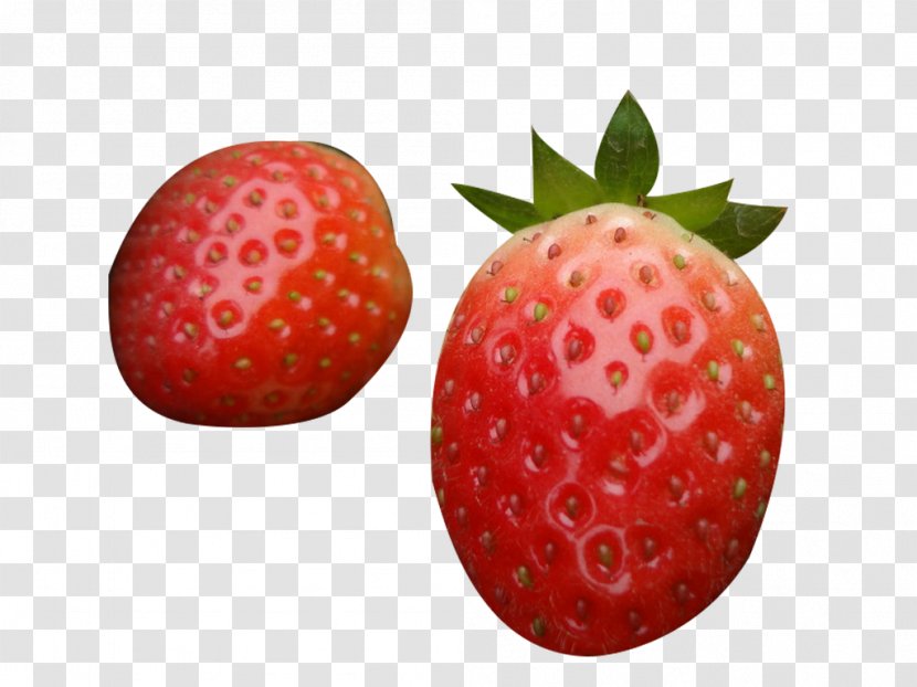 Strawberry Frutti Di Bosco Fruit - Superfood - Picking Picture Material Transparent PNG