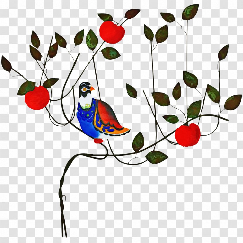 Floral Flower Background - Fruit - Holly Perching Bird Transparent PNG