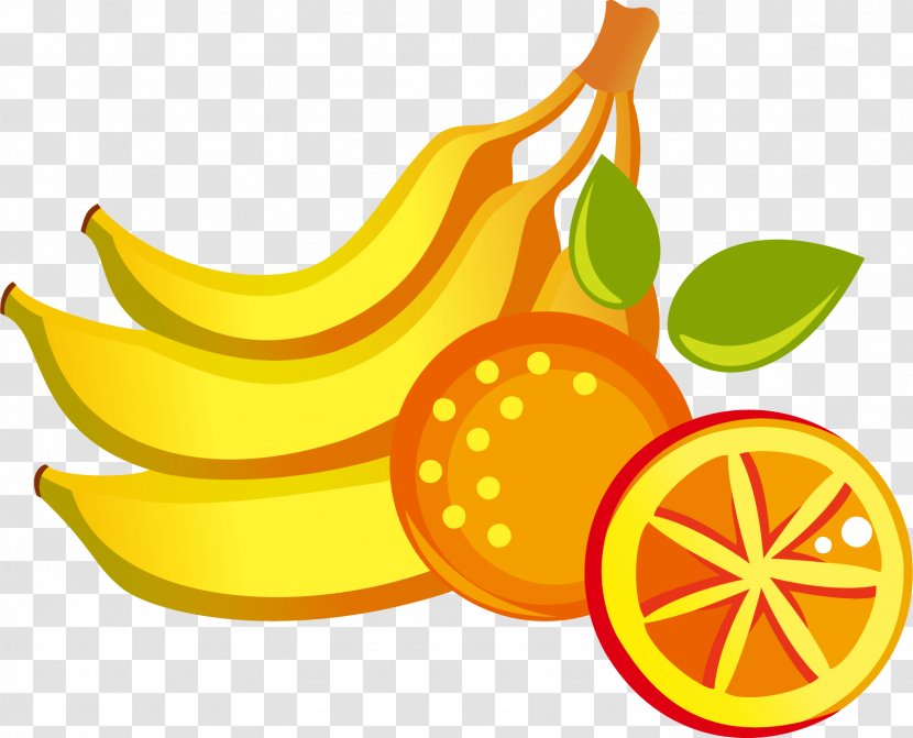 Fruit Image Design Adobe Photoshop - Citrus - Poster Transparent PNG