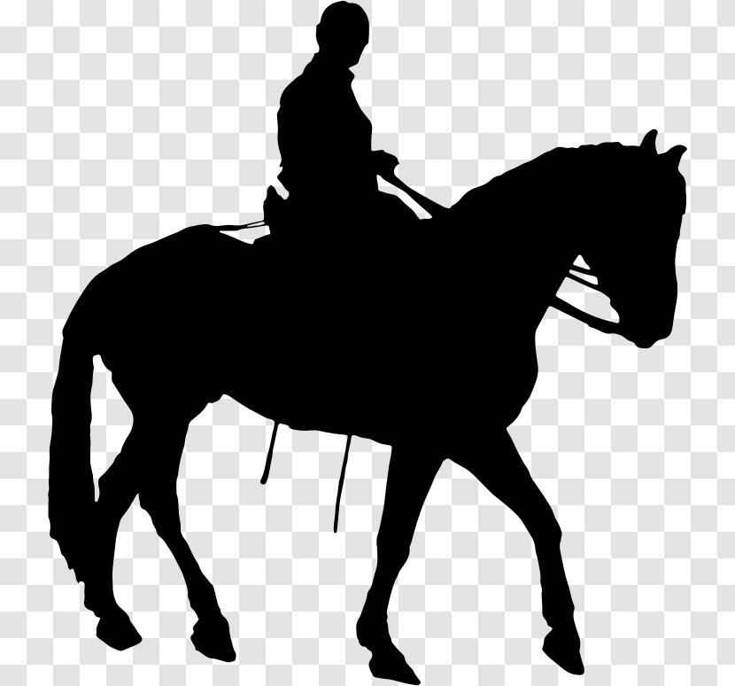 Horse Equestrian Silhouette Clip Art - Trainer - Race Transparent PNG