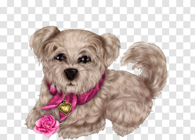 Morkie Mood Blogger Puppy - Love - Cute Transparent PNG