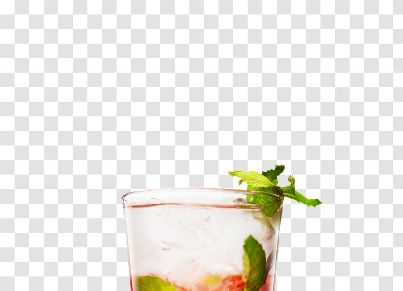 Mojito Cocktail Garnish Bacardi Juice - Nonalcoholic Drink Transparent PNG