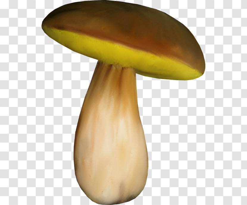 Edible Mushroom Fungus - Table - Design Transparent PNG