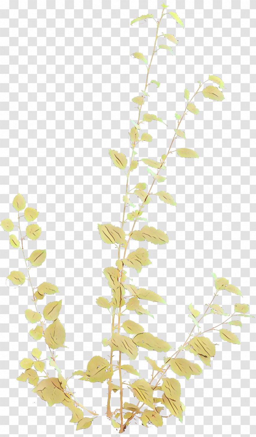 Twig Plant Stem Leaf Product Plants - Flower Transparent PNG