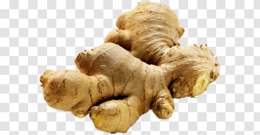 Ginger Tea Extract Vegetable Root - Officinalis Transparent PNG