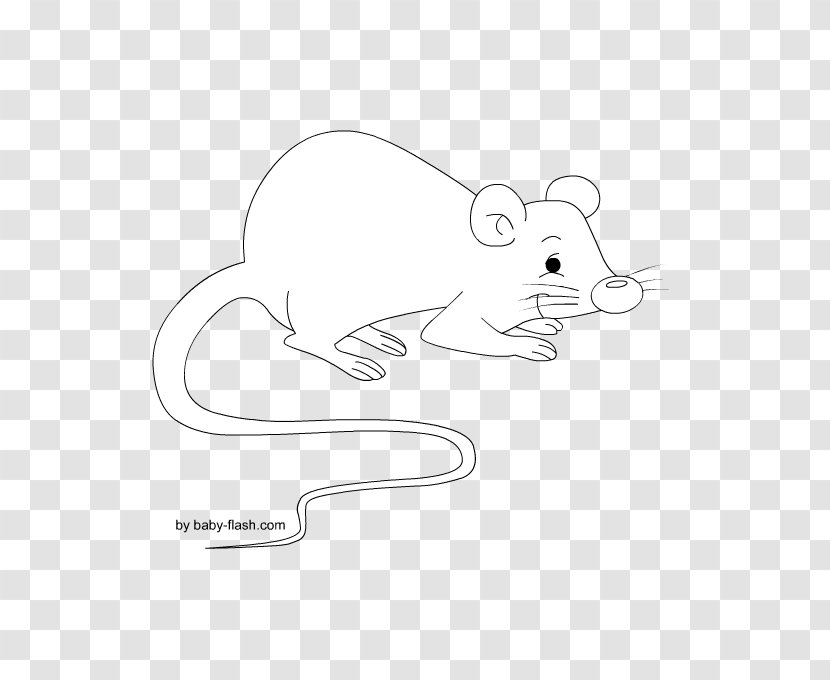 Cat Rat Mouse Rodent Mammal - Frame - Topo Transparent PNG