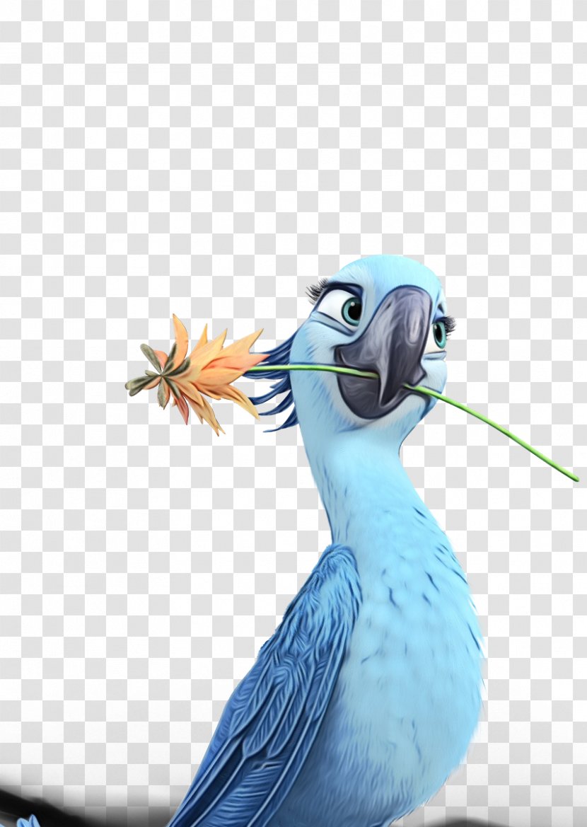 Bird Beak Blue-footed Booby - Bluefooted Transparent PNG