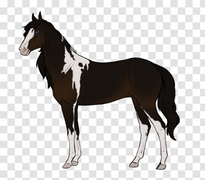 Mustang Foal Stallion Mare Colt - Horse Transparent PNG