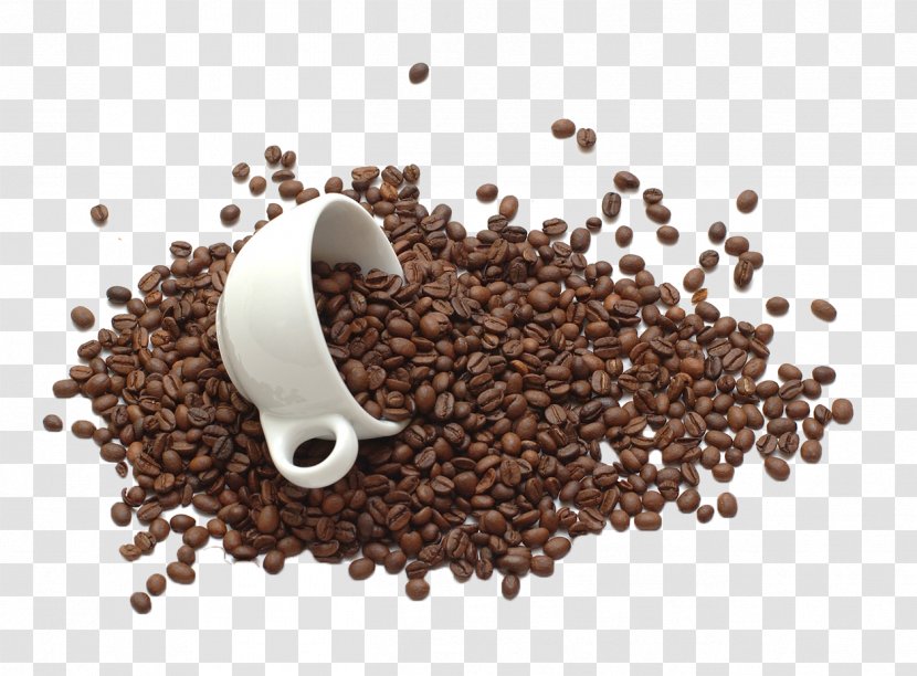Coffee Bean Tea Sugar Food - Jamaican Blue Mountain - Beans Transparent PNG