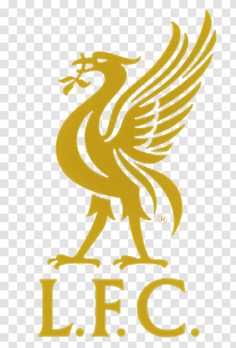 Liverpool F.C. Anfield L.F.C. Football T-shirt - Bird Transparent PNG