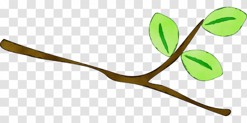 Leaf Plant Stem Tree Line Branching Transparent PNG