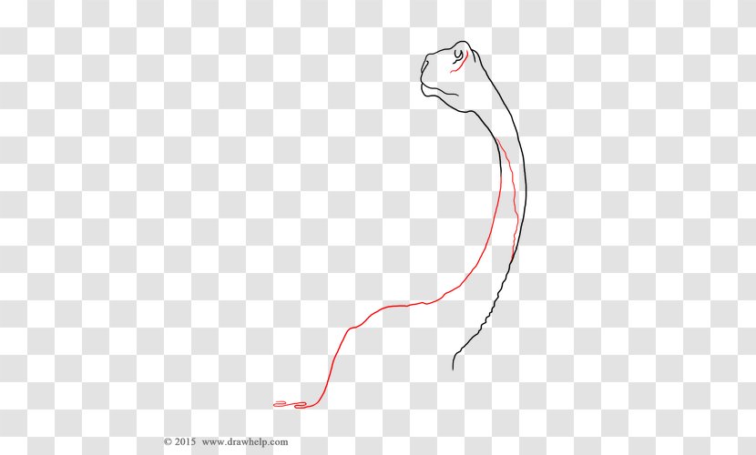 Mammal Line Drawing Point - Tree - Dinosaur Transparent PNG