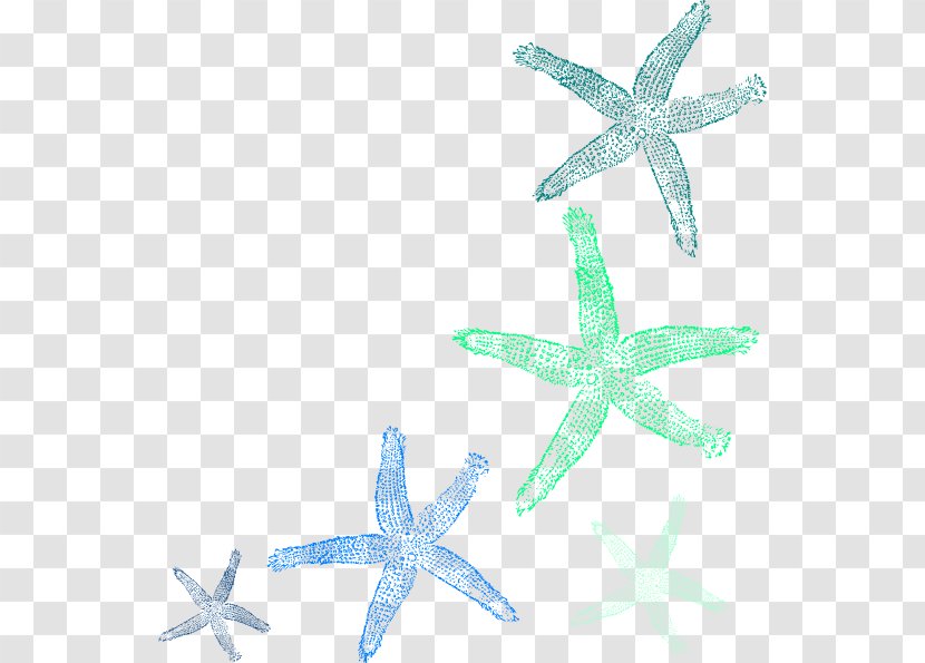 Starfish Clip Art - Seabed - Watercolor Seashell Transparent PNG