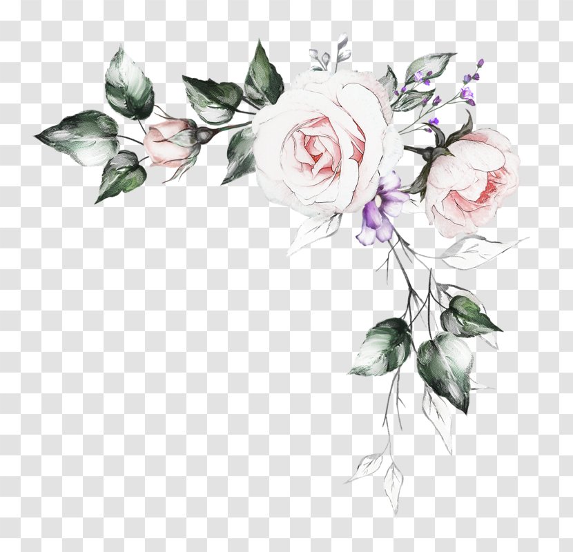 Watercolor Painting Garden Roses Illustration Royalty-free - Cut Flowers - Drawing Drawn Transparent PNG