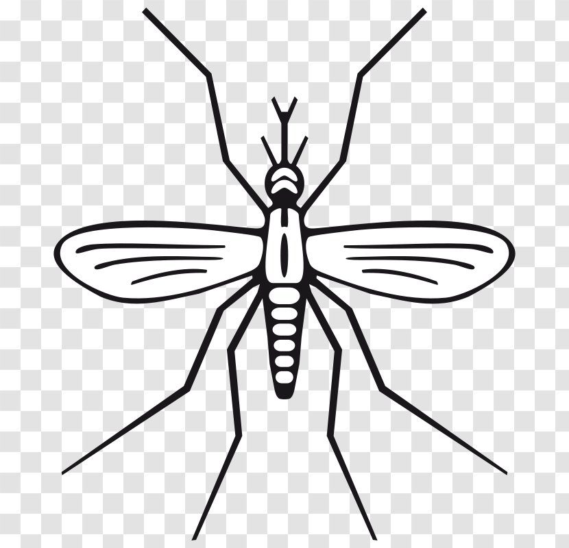 Mosquito Black And White Clip Art - Bug Zapper - Do Not Disturb Clipart Transparent PNG