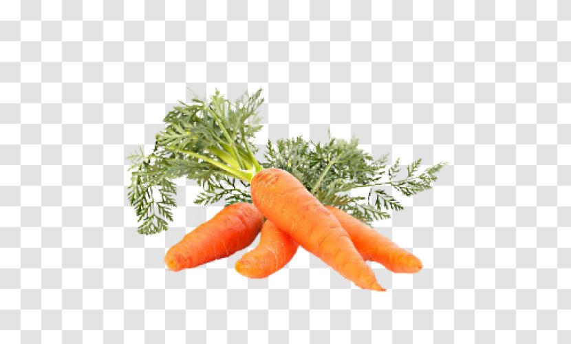Carrot Juice Eating Vegetable Transparent PNG
