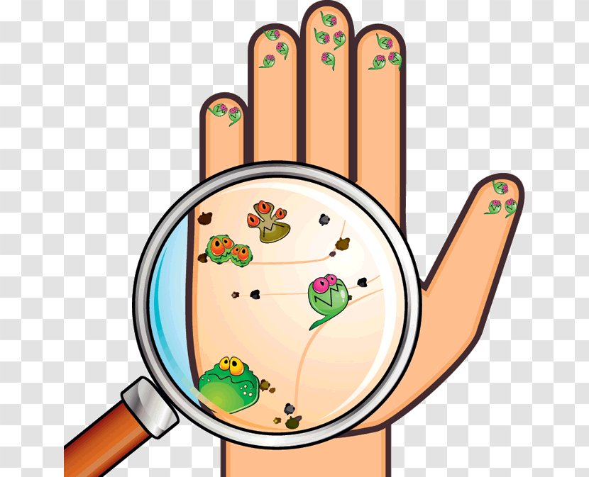Hand Hygiene Washing Bacteria Transparent PNG