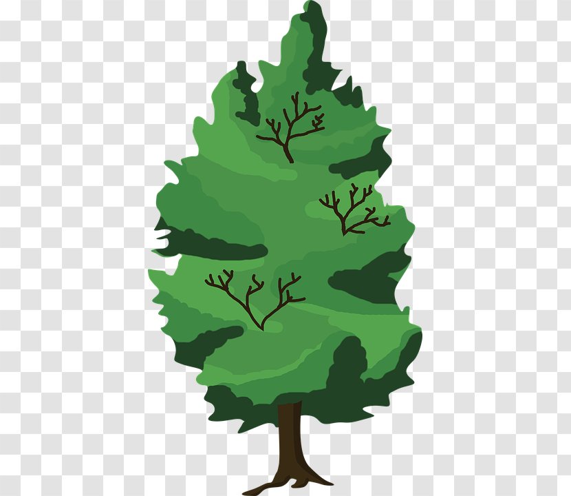 Clip Art Drawing Tree Forest Vector Graphics - Woody Plant Transparent PNG