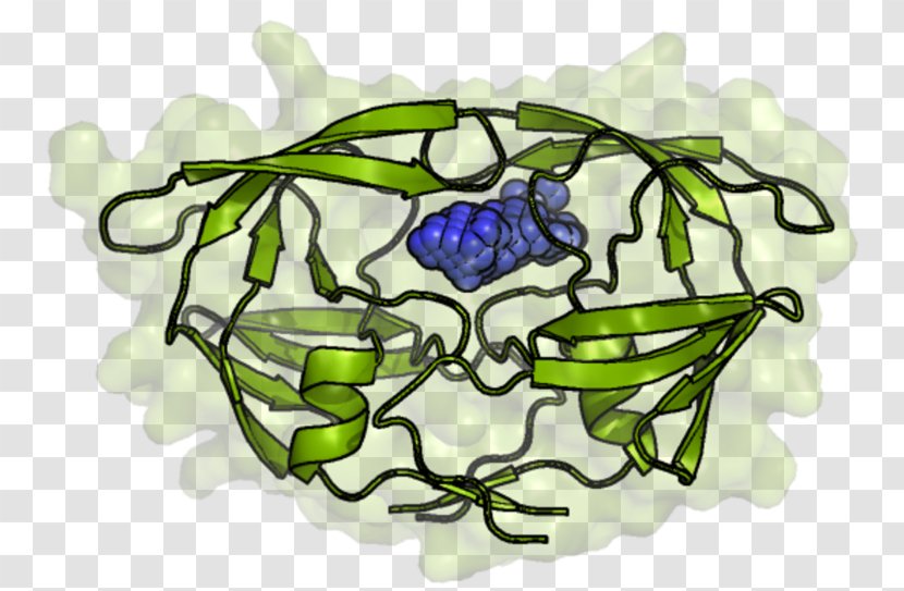 Flower - Plant Transparent PNG