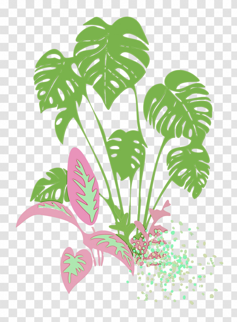 Palm Trees Transparent PNG