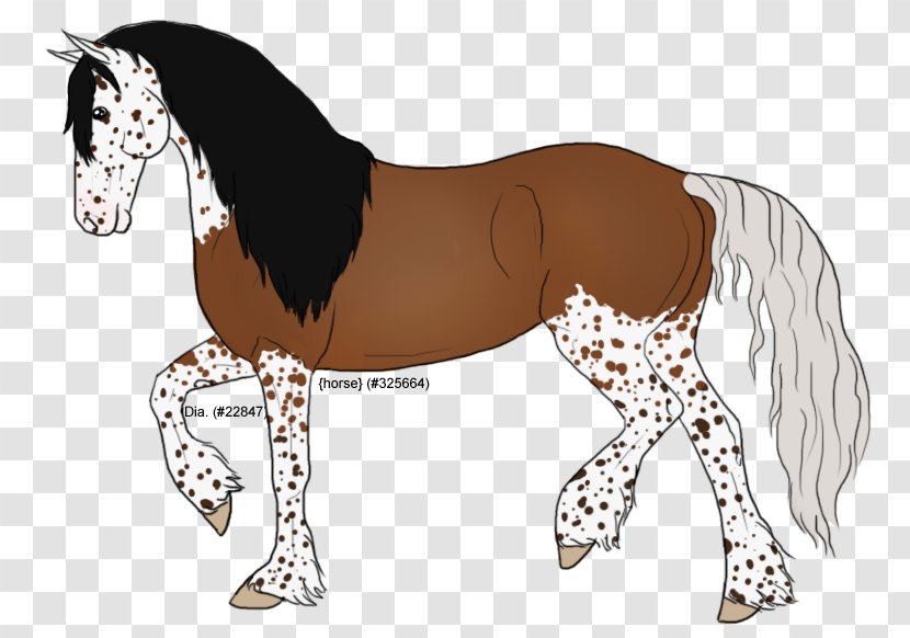 Foal Mane Stallion Colt Mare - Rein - Mustang Transparent PNG