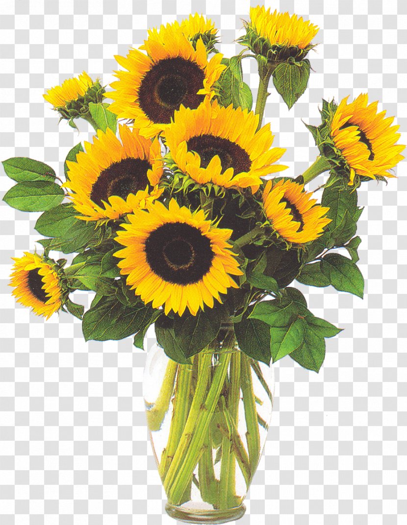 Vase With Three Sunflowers Common Sunflower - Annual Plant Transparent PNG