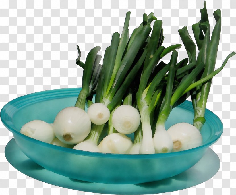 Vegetable Welsh Onion Food Plant Ingredient - Shallot Allium Transparent PNG