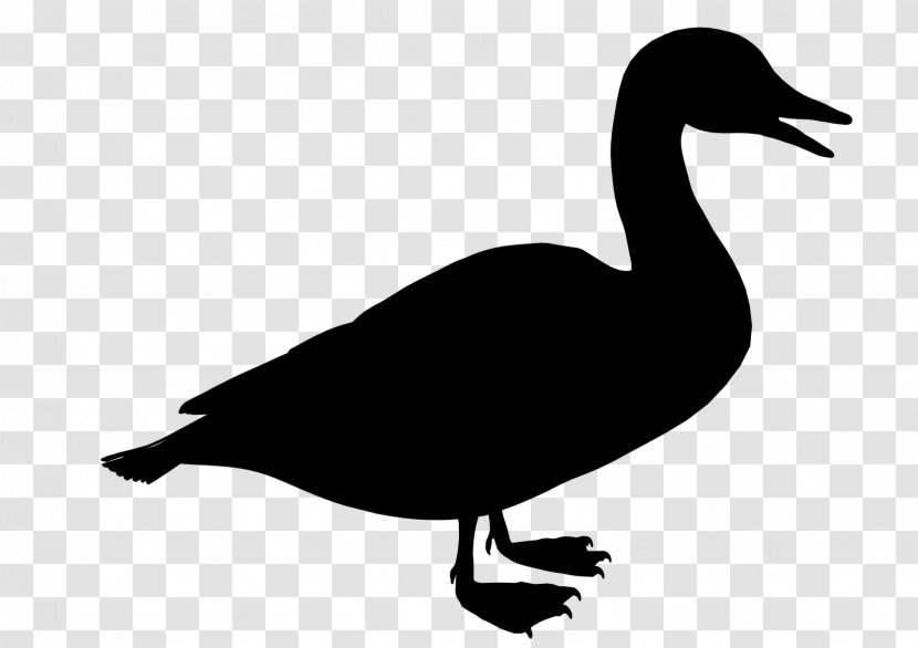 Duck Black & White - Goose - M Clip Art Fauna Silhouette Transparent PNG