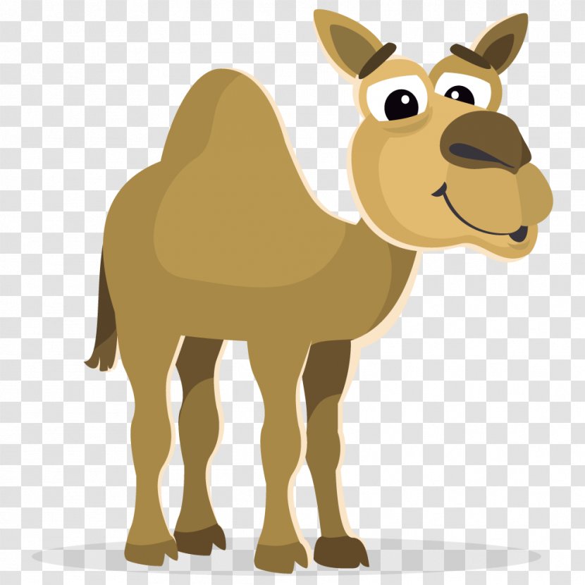 Camel Clip Art - Cartoon - Moroccan Cliparts Transparent PNG
