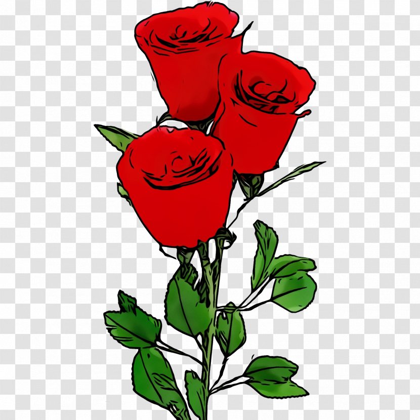 Garden Roses - Paint - Flowering Plant Rose Family Transparent PNG