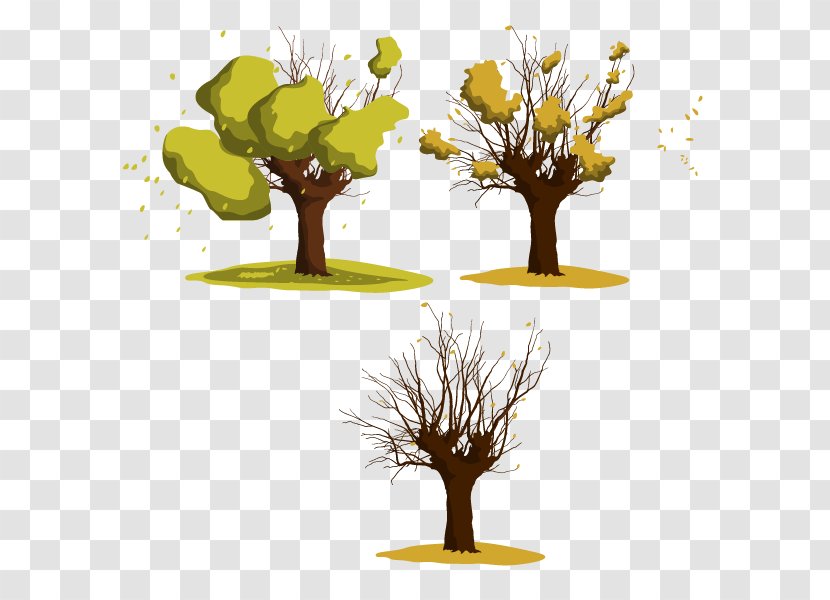 Wattles Tree Euclidean Vector - Houseplant - Onset Of Winter The Leaves Fall In Process Transparent PNG