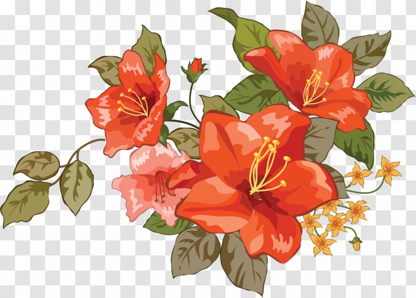 Lilium Sketch - Flower Transparent PNG
