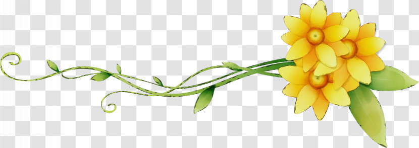 Flower Yellow Cut Flowers Plant Pedicel Transparent PNG