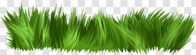 Fence Clip Art - Plant Stem - Green Grass Transparent PNG