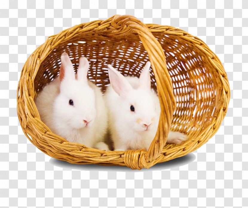 Easter Bunny Rabbit Download - Image File Formats Transparent PNG