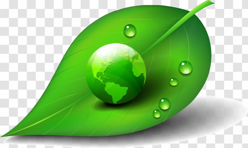 Earth Royalty-free - Green Transparent PNG