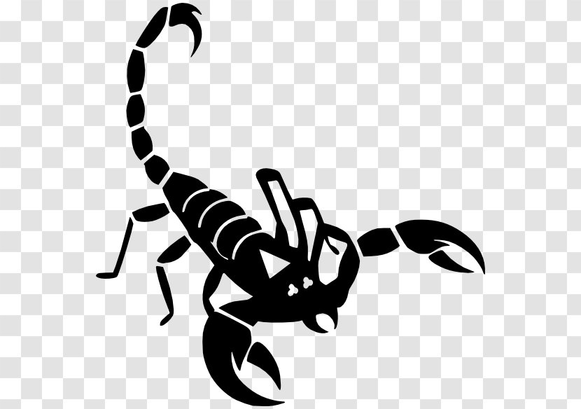 Scorpion Clip Art - Scorpio - Scorpions Transparent PNG