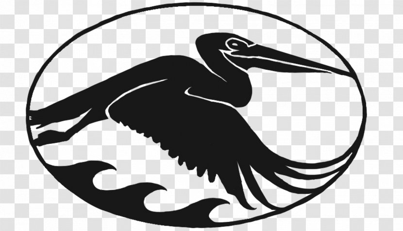 Health Insurance Agent Bird Beak - Pelican - Duck Transparent PNG