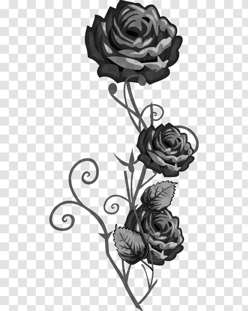 Garden Roses Black And White Visual Arts Flower - Petal Transparent PNG