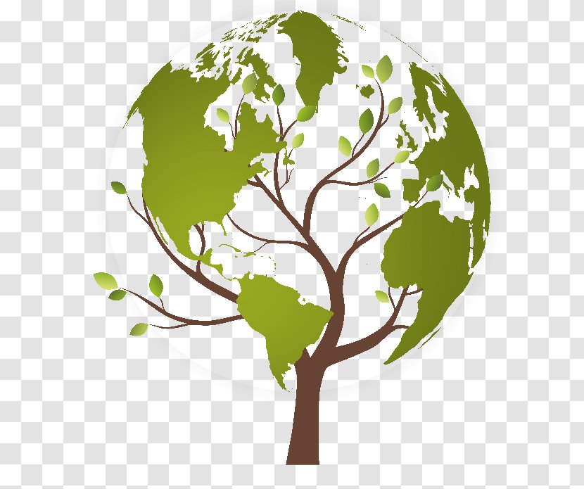 Tree Earth - Funds Transparent PNG