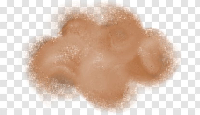 Snout Fur Close-up - Cloud Transparent PNG