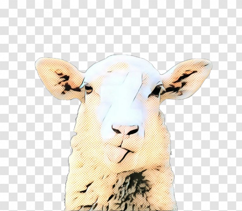 Eid Al Adha Islamic Background - Goats - Wildlife Cowgoat Family Transparent PNG