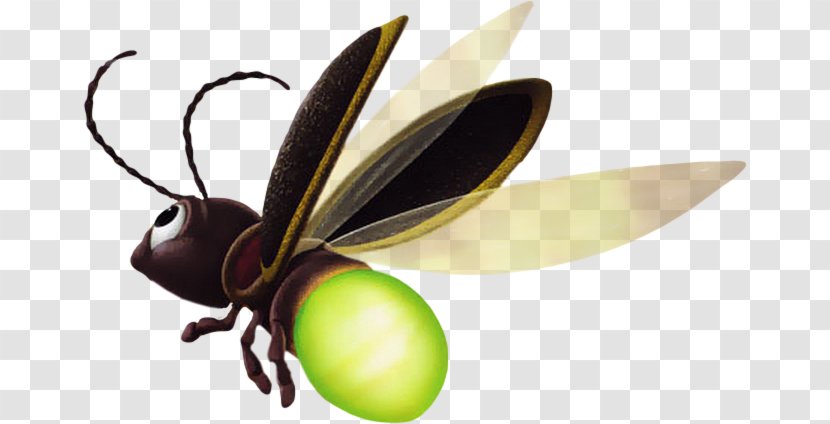 Insect Butterfly Tinker Bell Pollinator Transparent PNG
