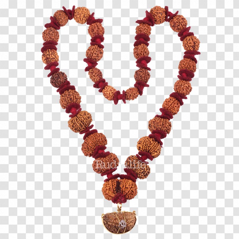 Buddhist Prayer Beads Rudraksha Mahadeva Rudralife Japamala - Shaligram Transparent PNG