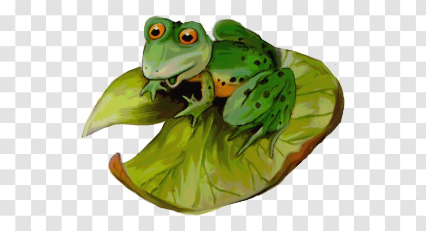 Tree Frog Clip Art True Amphibians - Water Frogs - Green Transparent PNG